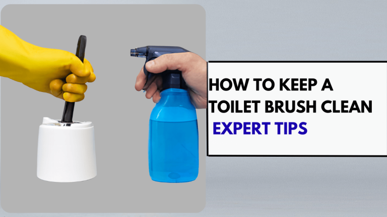 How to Keep a Toilet Brush Clean