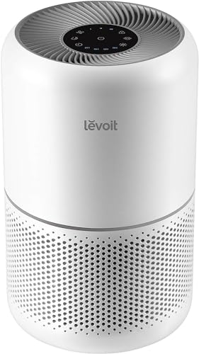 Best Air Purifier And Humidifier for Allergies