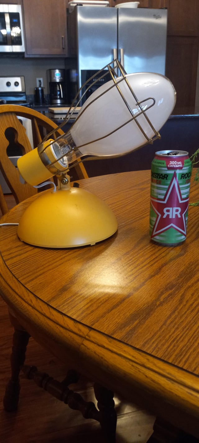 Can a Desk Lamp Cause Skin Cancer