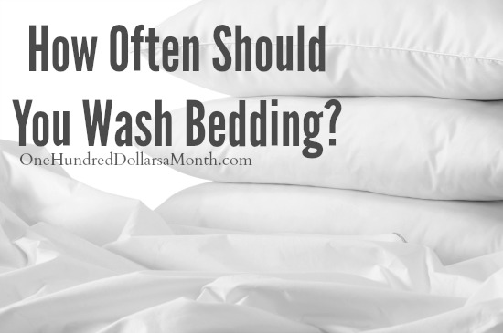 How Often to Dry Clean Comforter