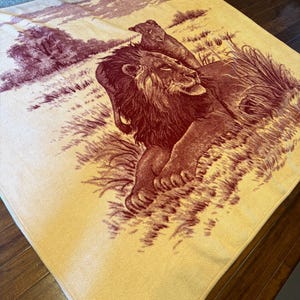 Where to Buy San Marcos Blankets