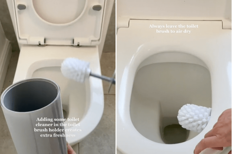 How to Clean a Toilet Brush After Use