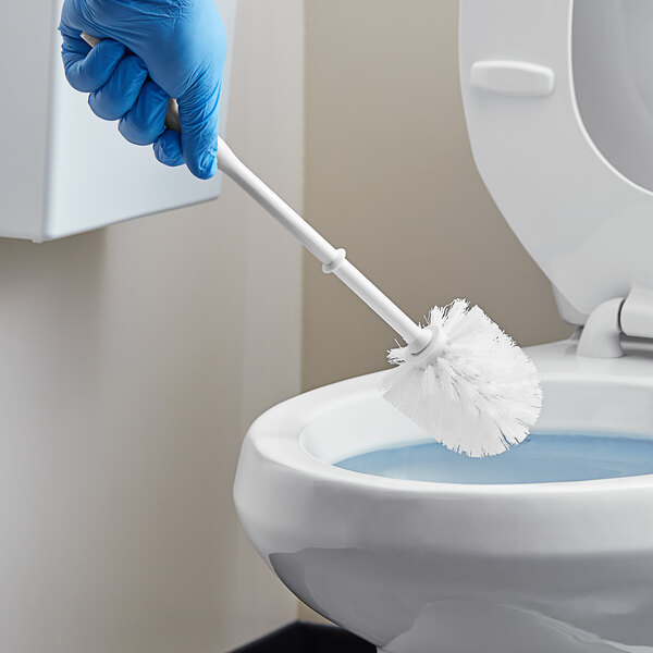 How to Clean a Toilet Bowl Brush