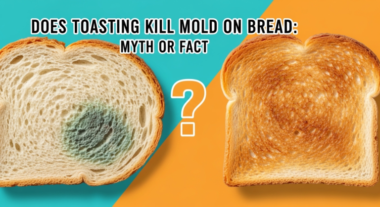 Does Toasting Kill Mold on Bread